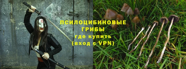 дмт Алексеевка