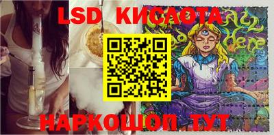 прущие грибы Кандалакша