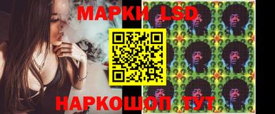 прущие грибы Кандалакша