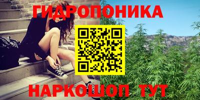 apvp Канаш