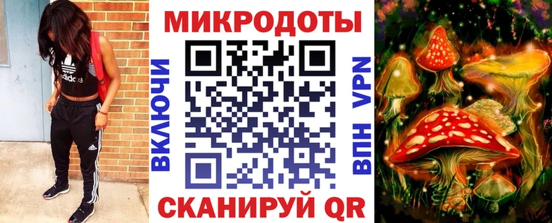 hydra tor  Лесосибирск  Псилоцибиновые грибы Psilocybine cubensis 
