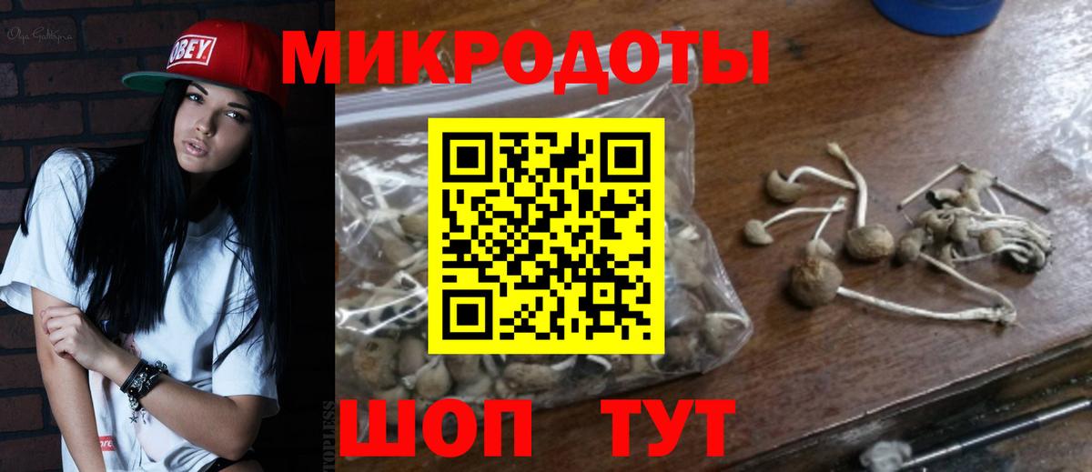 Галлюциногенные грибы GOLDEN TEACHER  Вход с VPN  Лесосибирск  купить   Галлюциногенные грибы MAGIC MUSHROOMS 